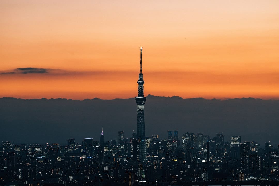甘肃张掖：玉米青贮忙